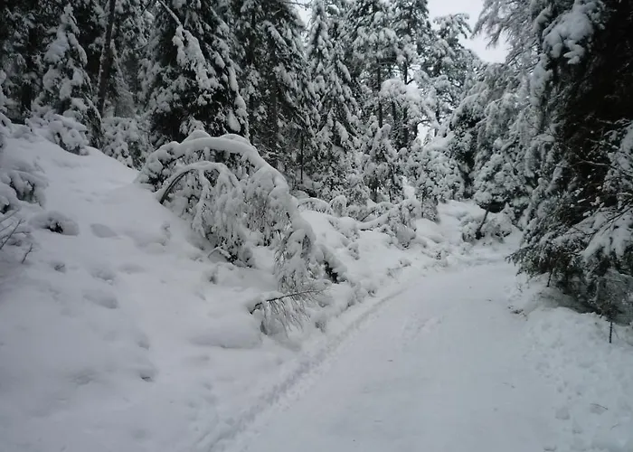 Jaeger ホームステイ トリンス