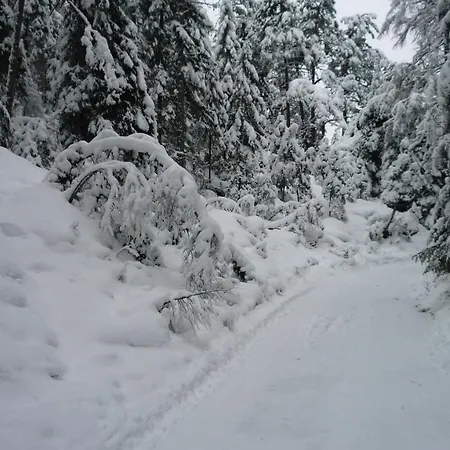 Jaeger Accommodatie bij particulieren Trins